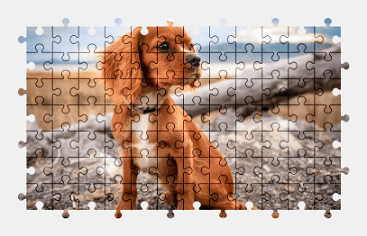 Jigsaw puzzle online adorable,dog,cute,animal,pet