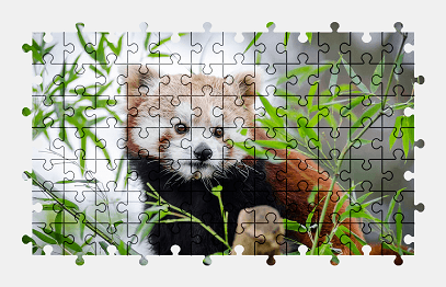 Jigsaw puzzle online red-panda,adorable,animal,cute,leaves,colorful