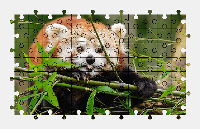 Jigsaw puzzle online red-panda,animal,cute,plant,panda,colorful