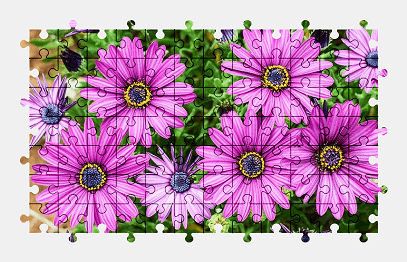 Jigsaw puzzle online purple,flower,garden,nature,colorful