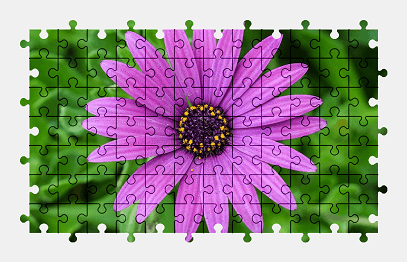 Jigsaw puzzle online garden,flower,nature,colorful