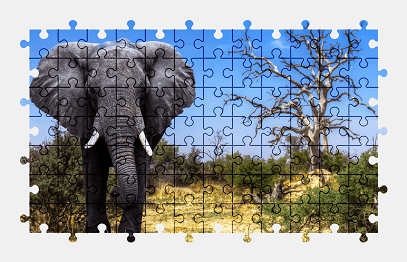 Jigsaw puzzle online african,elephant,animal,nature,colorful,africa