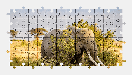 Jigsaw puzzle online africa,elephant,animal,colorful,mountains,nature