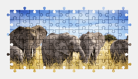 Jigsaw puzzle online africa,elephants,african,animal,nature,colorful