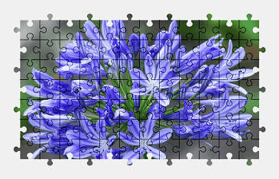 Jigsaw puzzle online blue,flower,plant,nature,colorful