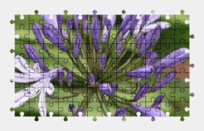 Jigsaw puzzle online purple,flower,nature,plant
