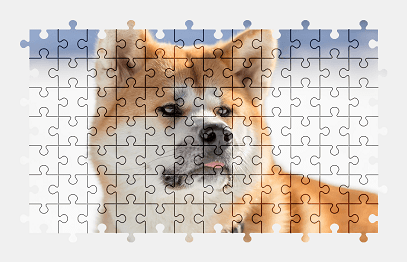 Jigsaw puzzle online dog,animal,colorful