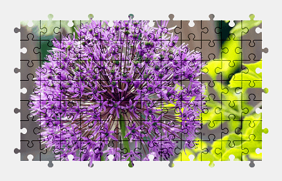 Jigsaw puzzle online purple,flower,plant,nature,colorful