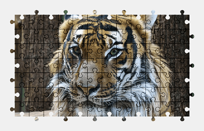 Jigsaw puzzle online animal,tiger