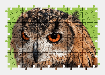 Jigsaw puzzle online owl,bird,animal,nature,colorful