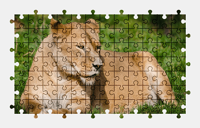 Jigsaw puzzle online lioness,lion,animal,big-cat,wildlife