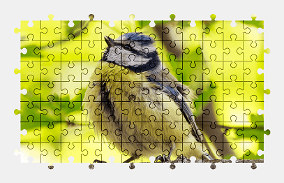 Jigsaw puzzle online bird,animal,branch,nature,colorful