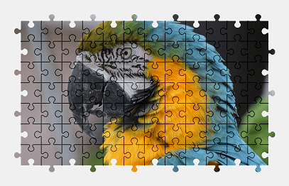 Jigsaw puzzle online animal,bird,colorful,parrot