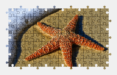 Jigsaw puzzle online starfish,animal,beach,water,nature
