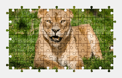 Jigsaw puzzle online lioness,lion,animal,big-cat,wildlife
