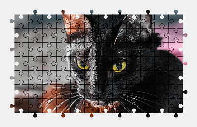 Jigsaw puzzle online animal,black,cat,pet
