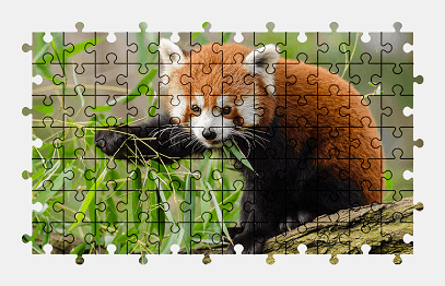 Jigsaw puzzle online red-panda,animal,cute,leaves,plant,colorful,nature