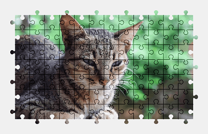 Jigsaw puzzle online animal,cat,pet,cute,colorful