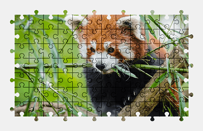 Jigsaw puzzle online red-panda,animal,cute,plant,nature,colorful