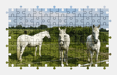 Jigsaw puzzle online animal,horse