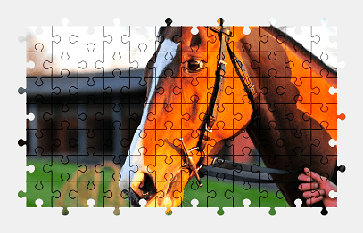 Jigsaw puzzle online horse,animal,nature,farm,colorful