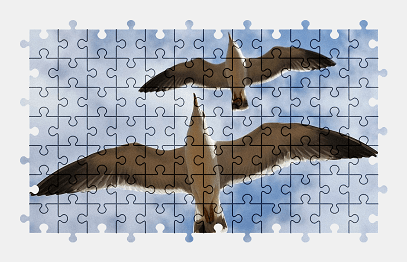 Jigsaw puzzle online seagull,bird,gull,animal,sky,cloud