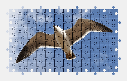 Jigsaw puzzle online seagull,bird,gull,animal,sky,cloud