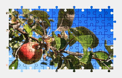 Jigsaw puzzle online apple,fruit,food,nature,tree,colorful