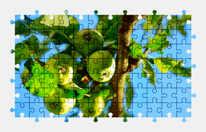 Jigsaw puzzle online apple,tree,fruit,food