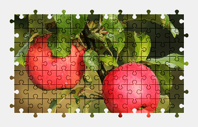 Jigsaw puzzle online red,apple,fruit,food,branch,tree,nature,colorful
