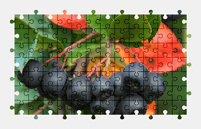 Jigsaw puzzle online berry,food