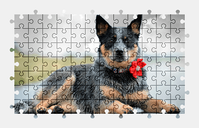 Jigsaw puzzle online dog,animal,pet,colorful