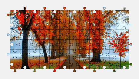 Jigsaw puzzle online autumn,tree,nature,colorful,fog