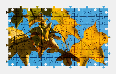 Jigsaw puzzle online yellow,autumn,leaves,nature,tree,colorful