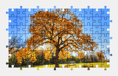 Jigsaw puzzle online autumn,tree,nature,colorful