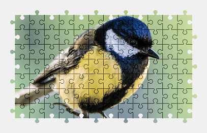 Jigsaw puzzle online bird,nature,animal