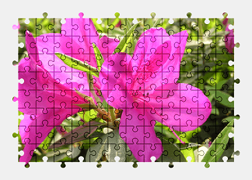 Jigsaw puzzle online azalea,flower,colorful,nature