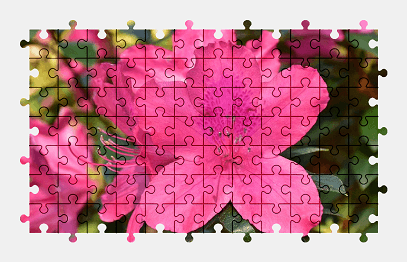 Jigsaw puzzle online pink,azalea,flower,spring,nature,colorful