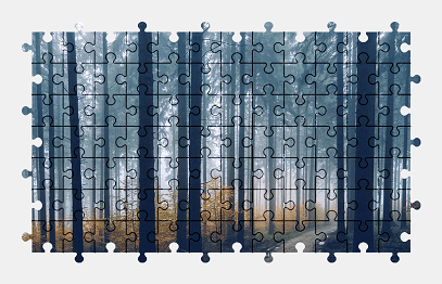 Jigsaw puzzle online forest,fog,tree,nature