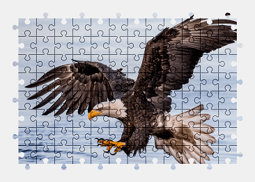 Jigsaw puzzle online bald-eagle,bird,eagle,animal,colorful