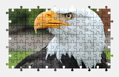 Jigsaw puzzle online bald-eagle,bird,animal,colorful,eagle