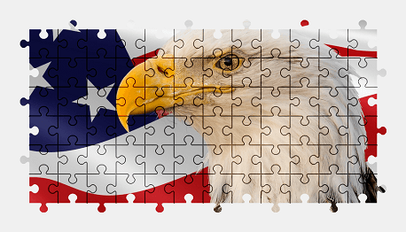 Jigsaw puzzle online bald-eagle,eagle,bird,animal,usa,flag,colorful