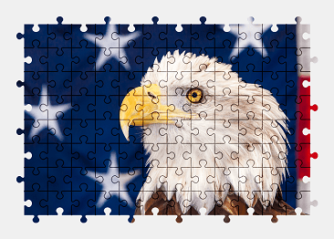 Jigsaw puzzle online bald-eagle,eagle,bird,animal,flag,usa,colorful