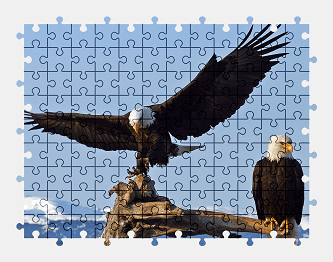 Jigsaw puzzle online bald-eagle,eagle,bird,animal,colorful