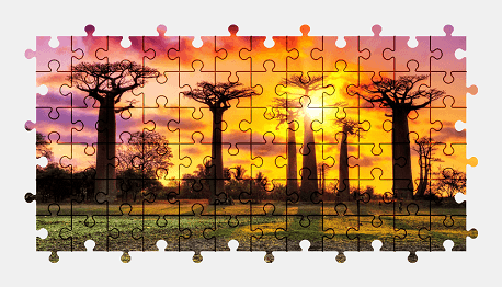 Jigsaw puzzle online tree,colorful,nature