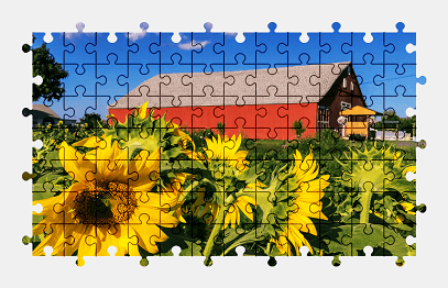 Jigsaw puzzle online barn,sunflower,building,colorful