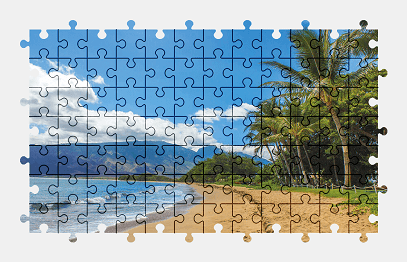 Jigsaw puzzle online beach,landscape,hawaii,usa,palm-tree,nature,colorful