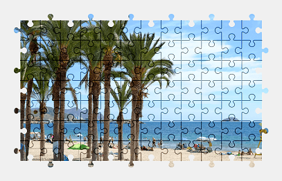 Jigsaw puzzle online beach,spain,palm-tree,nature,colorful