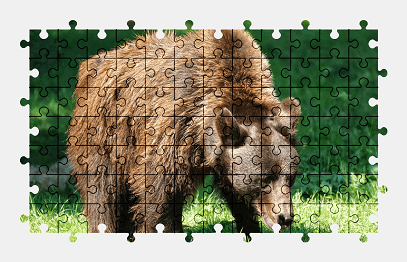 Jigsaw puzzle online bear,animal,nature,colorful