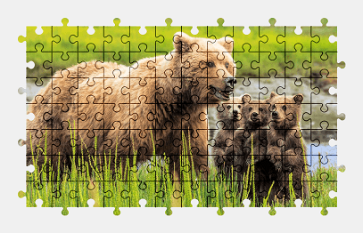 Jigsaw puzzle online bear,animal,nature,colorful
